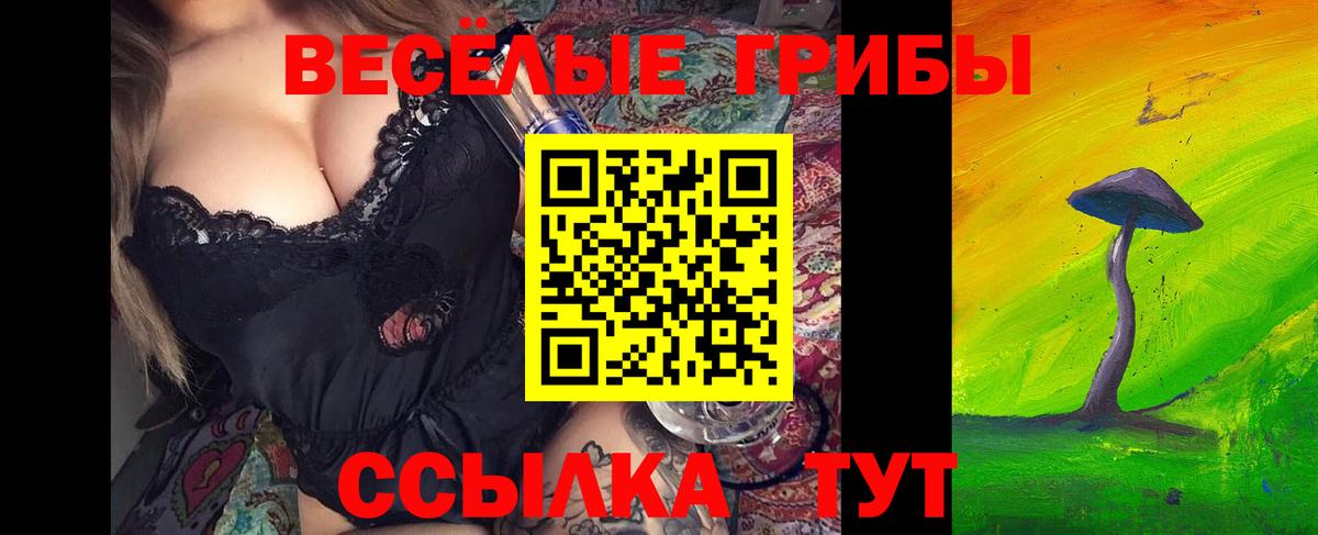 Бугуруслан  Псилоцибиновые грибы MAGIC MUSHROOMS  Вход с VPN 